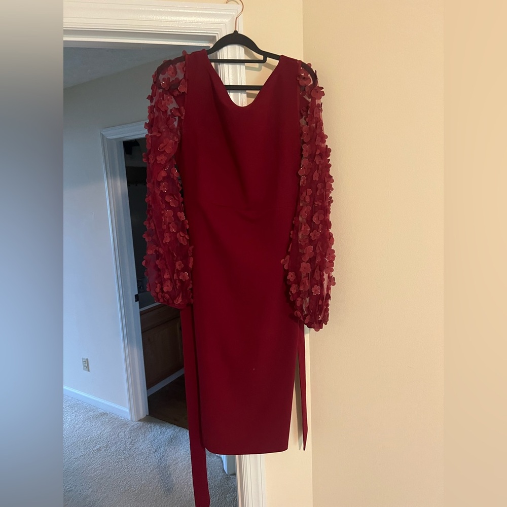 Red Sheath Dress with Bishop Sleeves and optional tie